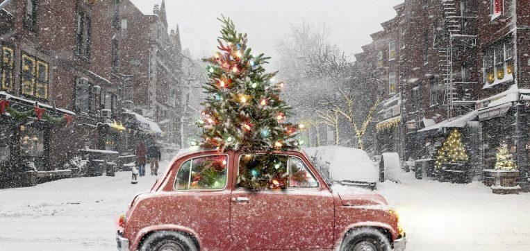 La Libreria – DicembreClicca qui per scaricare La Libreria – Dicembre 2021